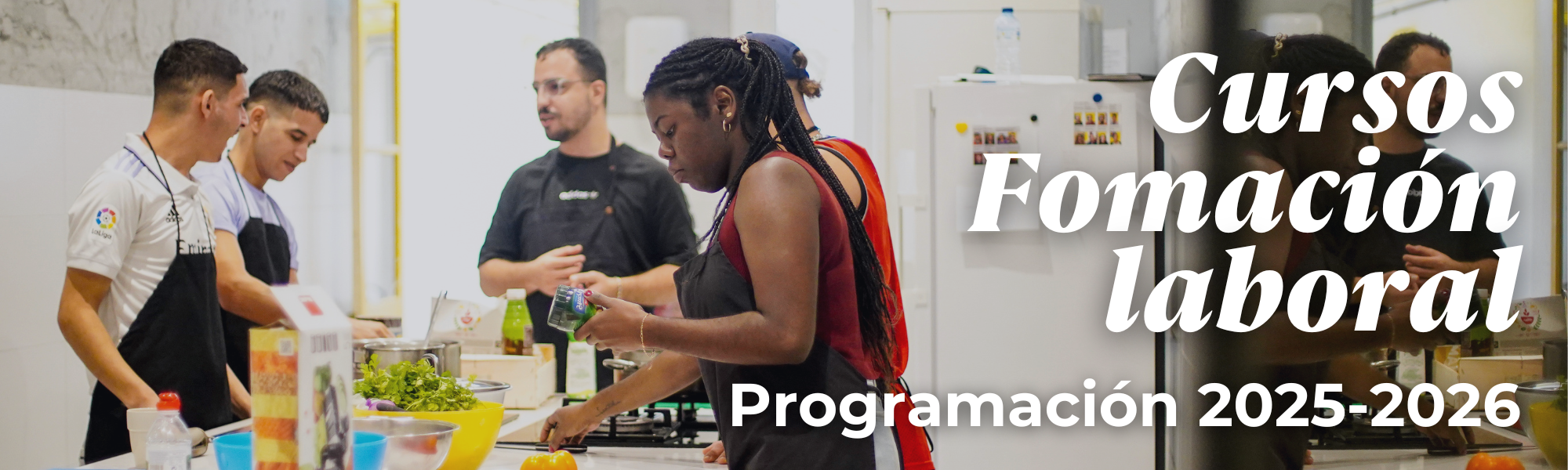 Banner programació FL